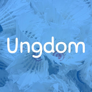 Ungdom - Begynder